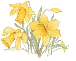 Golden Daffodils - 76mm x 50mm - Set of 2 - Click Image to Close